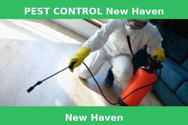 PEST CONTROL New Haven